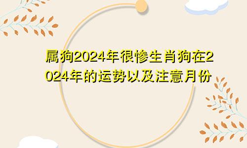 属狗2024年很惨生肖狗在2024年的运势以及注意月份