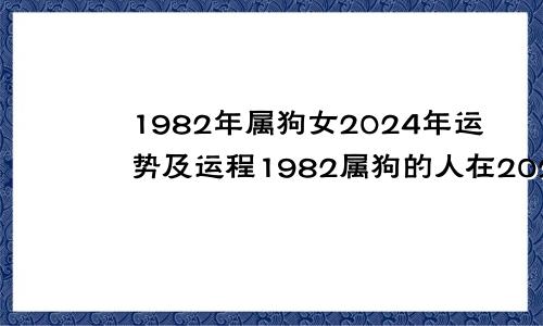 1982年属狗女2024年运势及运程1982属狗的人在2024年怎么样