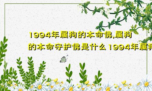 1994年属狗的本命佛,属狗的本命守护佛是什么1994年属狗的本命佛,属狗的本命守护佛是什么意思