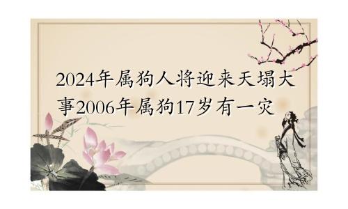 2024年属狗人将迎来天塌大事2006年属狗17岁有一灾