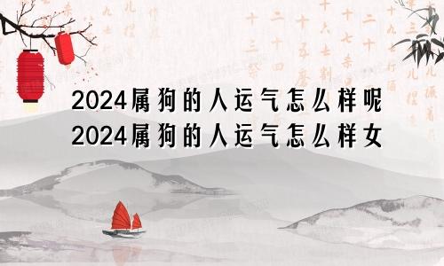 2024属狗的人运气怎么样呢2024属狗的人运气怎么样女