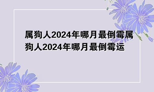 属狗人2024年哪月最倒霉属狗人2024年哪月最倒霉运