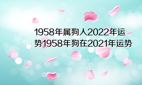 1958年属狗人2022年运势1958年狗在2021年运势