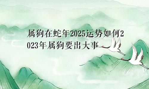 属狗在蛇年2025运势如何2023年属狗要出大事