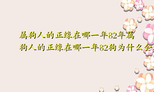 属狗人的正缘在哪一年82年属狗人的正缘在哪一年82狗为什么会遇见那么多烂人烂事