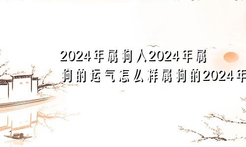 2024年属狗人2024年属狗的运气怎么样属狗的2024年是不是不好