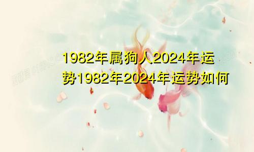 1982年属狗人2024年运势1982年2024年运势如何