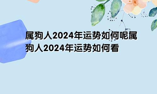 属狗人2024年运势如何呢属狗人2024年运势如何看