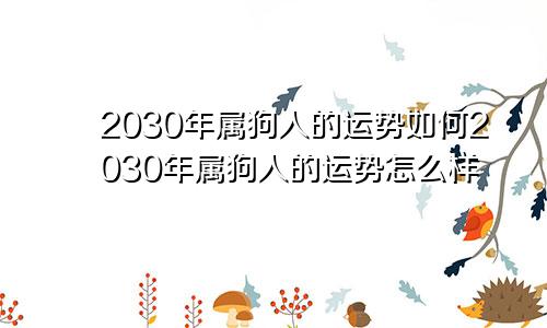 2030年属狗人的运势如何2030年属狗人的运势怎么样