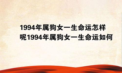 1994年属狗女一生命运怎样呢1994年属狗女一生命运如何