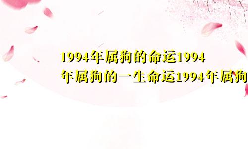 1994年属狗的命运1994年属狗的一生命运1994年属狗的命怎么样