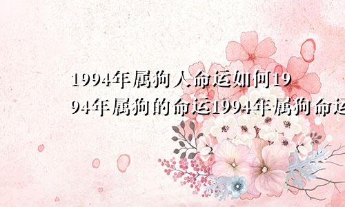 1994年属狗人命运如何1994年属狗的命运1994年属狗命运婚姻