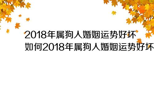 2018年属狗人婚姻运势好坏如何2018年属狗人婚姻运势好坏