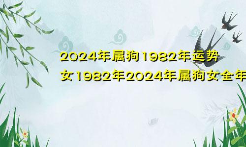 2024年属狗1982年运势女1982年2024年属狗女全年运势