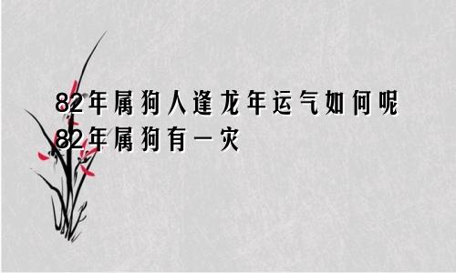 82年属狗人逢龙年运气如何呢82年属狗有一灾