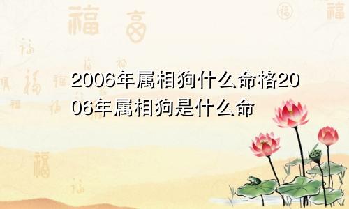 2006年属相狗什么命格2006年属相狗是什么命