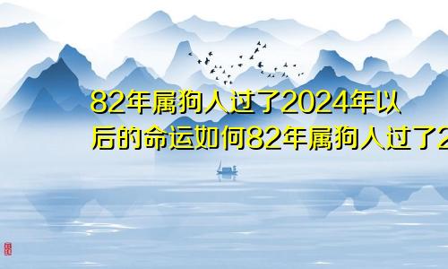 82年属狗人过了2024年以后的命运如何82年属狗人过了2024年以后的命运怎么样