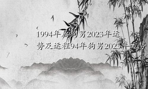 1994年属狗男2023年运势及运程94年狗男2023年运势