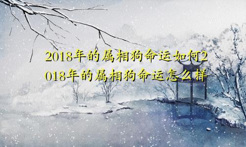 2018年的属相狗命运如何2018年的属相狗命运怎么样