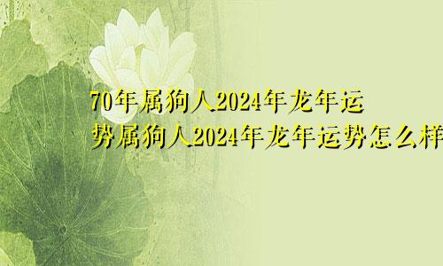 70年属狗人2024年龙年运势属狗人2024年龙年运势怎么样