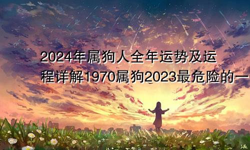 2024年属狗人全年运势及运程详解1970属狗2023最危险的一个月