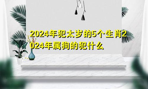 2024年犯太岁的5个生肖2024年属狗的犯什么