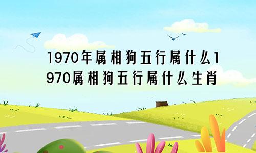 1970年属相狗五行属什么1970属相狗五行属什么生肖