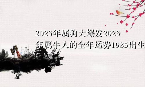 2023年属狗大爆发2023年属牛人的全年运势1985出生