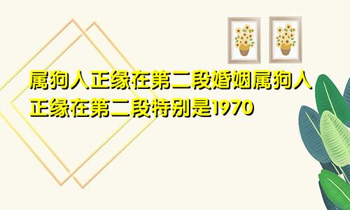 属狗人正缘在第二段婚姻属狗人正缘在第二段特别是1970