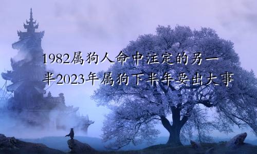 1982属狗人命中注定的另一半2023年属狗下半年要出大事