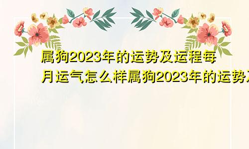 属狗2023年的运势及运程每月运气怎么样属狗2023年的运势及运程每月运气详解