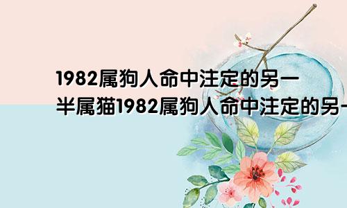 1982属狗人命中注定的另一半属猫1982属狗人命中注定的另一半属蛇