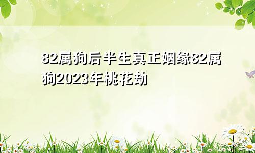 82属狗后半生真正姻缘82属狗2023年桃花劫