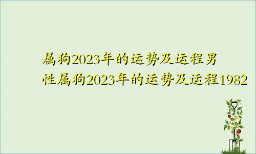 属狗2023年的运势及运程男性属狗2023年的运势及运程1982