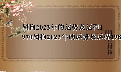 属狗2023年的运势及运程1970属狗2023年的运势及运程1982