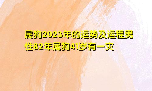 属狗2023年的运势及运程男性82年属狗41岁有一灾