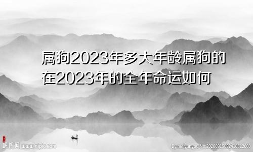 属狗2023年多大年龄属狗的在2023年的全年命运如何