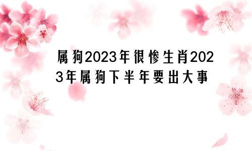 属狗2023年很惨生肖2023年属狗下半年要出大事