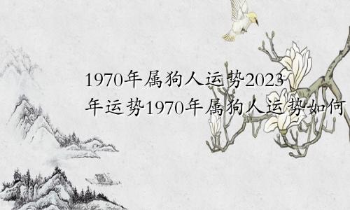 1970年属狗人运势2023年运势1970年属狗人运势如何