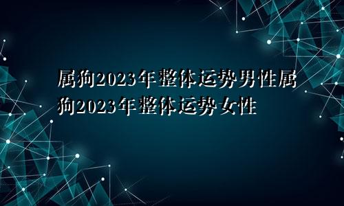 属狗2023年整体运势男性属狗2023年整体运势女性