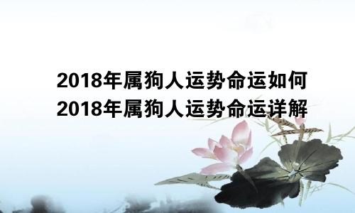 2018年属狗人运势命运如何2018年属狗人运势命运详解