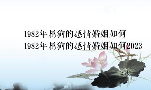 1982年属狗的感情婚姻如何1982年属狗的感情婚姻如何2023