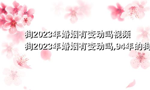 狗2023年婚姻有变动吗视频狗2023年婚姻有变动吗,94年的狗2023年有变动吗