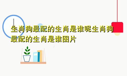 生肖狗最配的生肖是谁呢生肖狗最配的生肖是谁图片