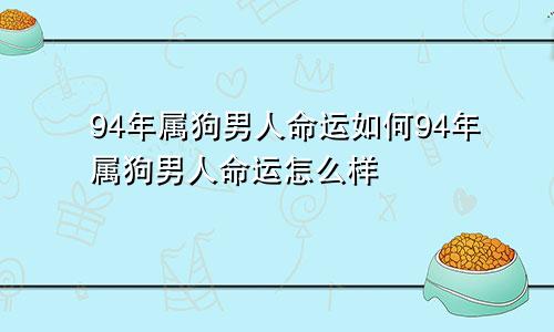 94年属狗男人命运如何94年属狗男人命运怎么样