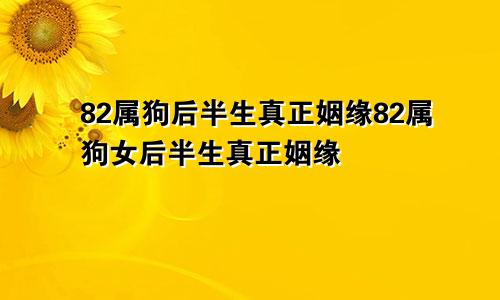 82属狗后半生真正姻缘82属狗女后半生真正姻缘