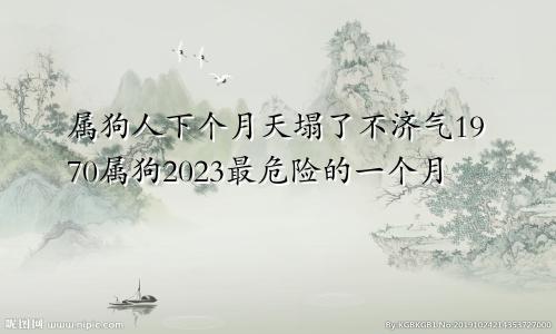 属狗人下个月天塌了不济气1970属狗2023最危险的一个月