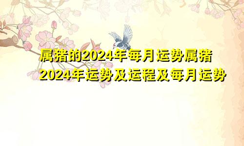 属猪的2024年每月运势属猪2024年运势及运程及每月运势