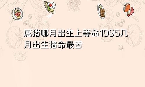 属猪哪月出生上等命1995几月出生猪命最苦