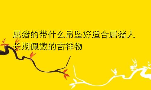 属猪的带什么吊坠好适合属猪人长期佩戴的吉祥物